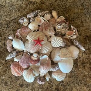 Shells